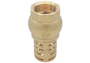 Valvula de Pie 3/4" Pichancha, Cnx VAPI12