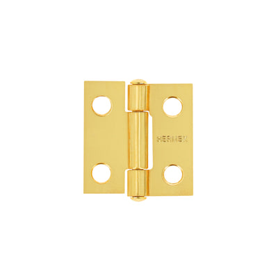Bisagra Rectangular 1