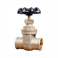 Válvula de Compuerta de 1/2" Rugo 75AH-13