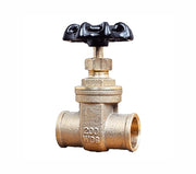 Válvula de Compuerta de 1/2" Rugo 75AH-13