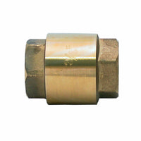 Válvula Check de Resorte Roscada Vertical 1/2" Rugo 79V-13