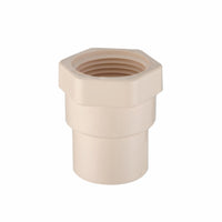 Conector Adaptador Hembra CPVC 1", Cnx CADAPH25