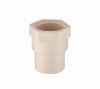 Conector Adaptador Hembra CPVC 3/4", Cnx CADAPH19