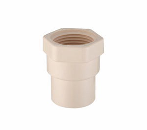 Conector Adaptador Hembra CPVC 3/4", Cnx CADAPH19