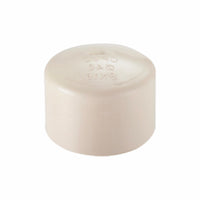 Tapón Hembra CPVC 3/4", Cnx CTAPON19