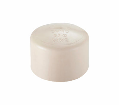 Tapón Hembra CPVC 3/4